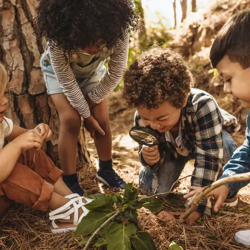 Nature Discovery Toys