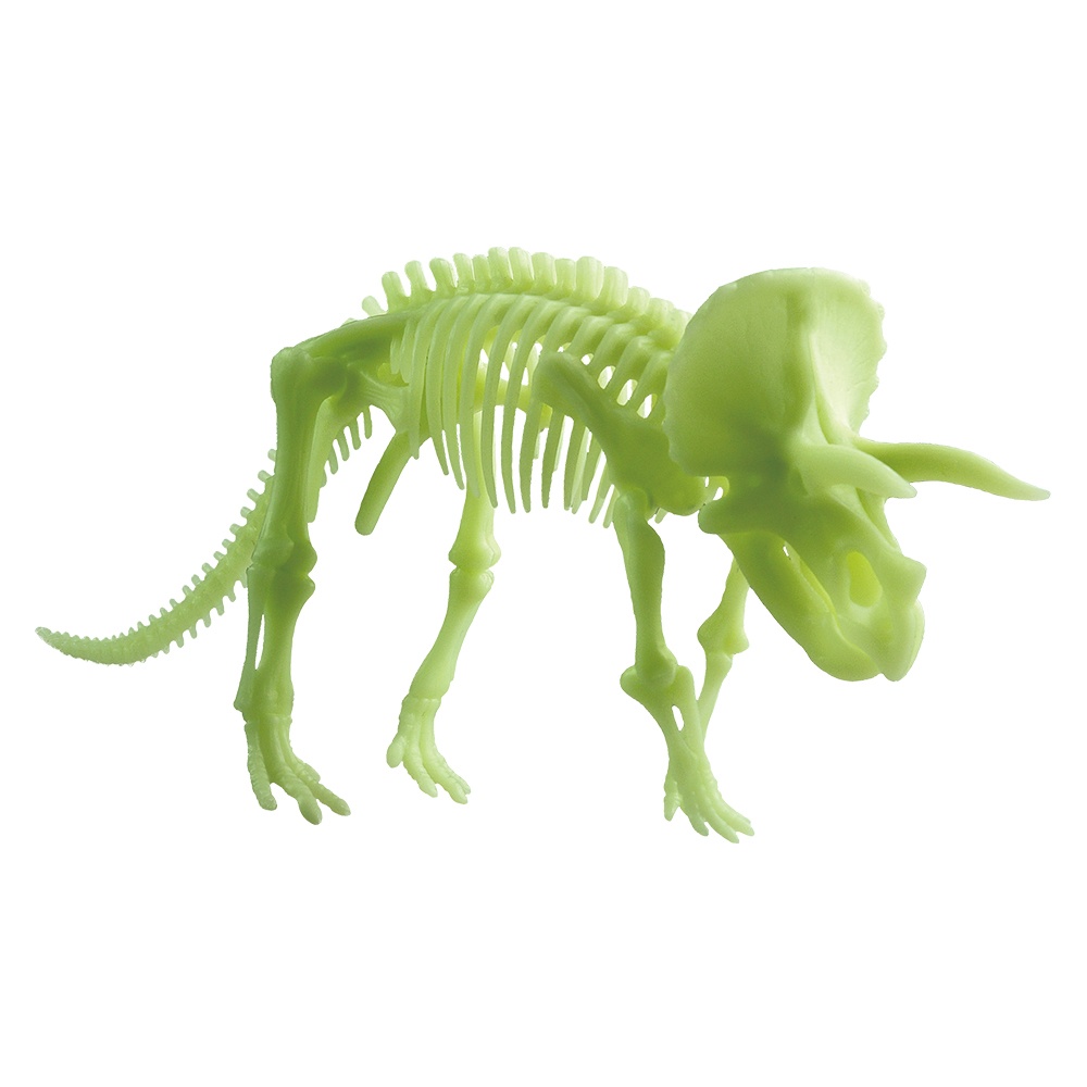 Edu-Toys - Glow in the Dark - Triceratops Skeleton - 22cm - Image 2