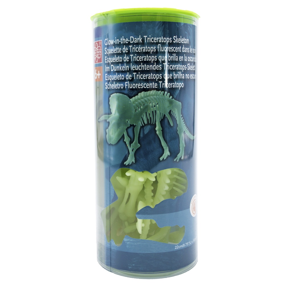 Edu-Toys - Glow in the Dark - Triceratops Skeleton - 22cm - Image 3