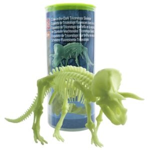 Edu-Toys - Glow in the Dark - Triceratops Skeleton - 22cm