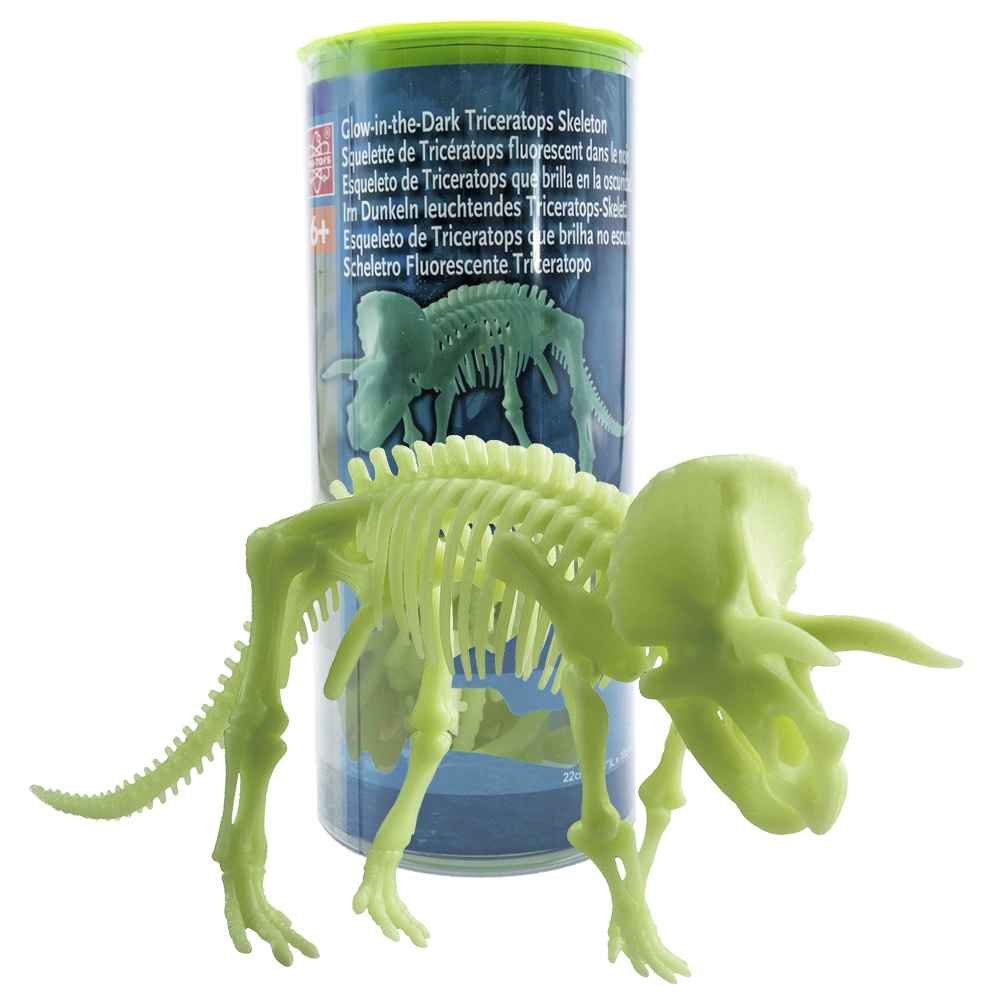 Edu-Toys - Glow in the Dark - Triceratops Skeleton - 22cm